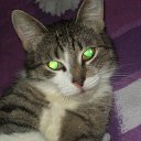 ���� ������, ������� ��������, 47 ��� - ��������� 10 ������ 2011 � ������ �������