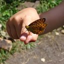 ��������� ���������� ������� �� ������� ���������