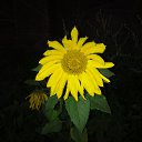 ���� ���, ����� - ��������� 18 ������� 2012 � ������ ��������� ������������