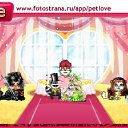  , - -  2  2011   PetLove