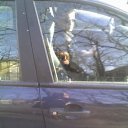 ���� �������, ������� - ��������� 4 ���� 2013 � ������ ���� ����������