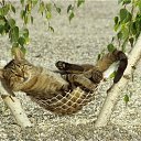 ���� �������, �����-���������, 38 ��� - ��������� 24 ������ 2010 � ������ ������� � �� ������