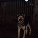 ���� ���������, ������, 37 ��� - ��������� 12 ������ 2012