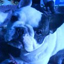 ���� ����, �����-���������, 57 ��� - ��������� 30 ������� 2010 � ������ ���� ��������