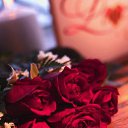 ���� ������, �����, 48 ��� - ��������� 22 ������� 2009