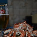 ���� ��������, �����������, 39 ��� - ��������� 19 ��� 2011 � ������ ��� �����