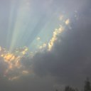 ���� ����, ���������, 44 ���� - ��������� 18 ������� 2009 � ������ �������