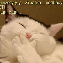 ���� ����, �����, 44 ���� - ��������� 28 ��� 2013 � ������ ������ ��������