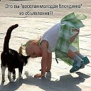 ���� ����, ����������, 61 ��� - ��������� 15 ����� 2012 � ������ �:)�