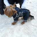 ���� ������, �����-���������, 41 ��� - ��������� 31 ����� 2012 � ������ �������