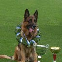 ������� ������ ������ �� ������� �������