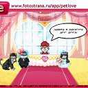 ���� ������ �-70., ������� - ��������� 17 ������� 2011 � ������ �PetLove�