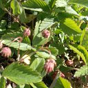 ���� �������, ��������, 41 ��� - ��������� 21 ���� 2010 � ������ ���� �����!!! � ���� �����!!!�