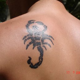 ���� �������, ���������, 44 ���� - ��������� 17 ������� 2011