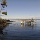 ���� ����, �����������, 61 ��� - ��������� 19 ������� 2011 � ������ �����