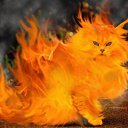 ���� �������, �������, 41 ��� - ��������� 29 ������ 2010 � ������ �������