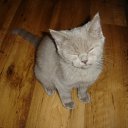 ���� �����, ���������, 52 ���� - ��������� 25 ���� 2012 � ������ �������