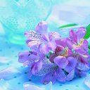 ���� ������, ������, 22 ���� - ��������� 28 ����� 2012 � ������ ���� ����������