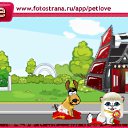  , , 49  -  13  2010   PetLove