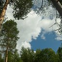 ���� ������, ������������, 58 ��� - ��������� 11 ������ 2009 � ������ ��������