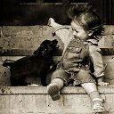 ���� ������, ����������, 49 ��� - ��������� 15 ��� 2013 � ������ ���� ����������