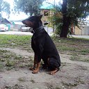 ���� ������, ���������, 60 ��� - ��������� 8 �������� 2011 � ������ ��, � ��� ���!!!�