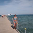 ���� �����, �������, 50 ��� - ��������� 13 ������ 2010 � ������ ���� ����������