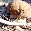 ���� �������, ������� - ��������� 10 ������ 2010 � ������ ����...������