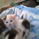 ���� ������, �����, 50 ��� - ��������� 16 ���� 2013 � ������ �� ��� ����� ����...�