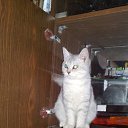 ���� ����, �������, 39 ��� - ��������� 7 ������ 2010 � ������ ���� ���� :)�