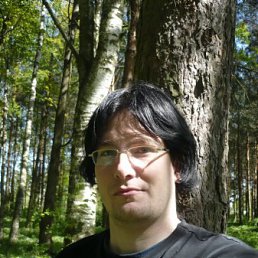 ����, �����-���������, 44 ����