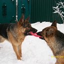  ,  -  18  2012      Ȼ