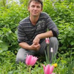 �������, �������, 53 ����