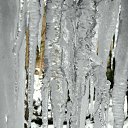 ���� ����, ����, 67 ��� - ��������� 26 ����� 2012