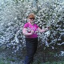 ���� �������, ��������, 40 ��� - ��������� 6 ������� 2010