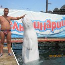 ���� �������, ���������, 49 ��� - ��������� 17 ������ 2011 � ������ ���� ����������