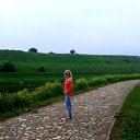 ���� ���������, ������, 33 ���� - ��������� 7 ���� 2012 � ������ ���� ����������