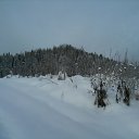 ���� ������, ������, 60 ��� - ��������� 25 ������ 2011 � ������ ���� ����������