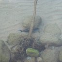 ���� �����, �����-��������� - ��������� 7 ������ 2013 � ������ ���� ����������