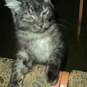 ���� ���������, �����������, 43 ���� - ��������� 29 ������� 2012 � ������ ���� ������