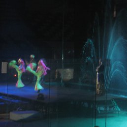 ���� ������@, �����������, 21 ��� - ��������� 22 ������� 2012