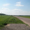  , , 36  -  25  2010      . 2010. .