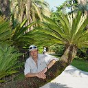 ���� �������, ������������, 67 ��� - ��������� 4 ������� 2011 � ������ ���� ����������