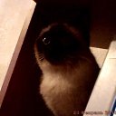 ���� ���@����@, �������, 49 ��� - ��������� 23 ������� 2010 � ������ ���� �����