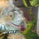    )))), , 47  -  3  2010   