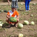 ���� �������, ���������, 42 ���� - ��������� 24 ������� 2012