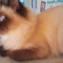 ���� ����, �������� - ��������� 22 �������� 2012 � ������ ����� �������)))�