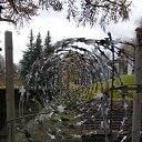 ������� �� ������� �����������