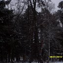 � ����� ���� �� ������� ������� �����