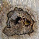 ���� ���������, ���������� - ��������� 23 ������� 2010 � ������ �������������Ż